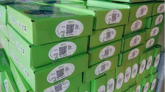 黃皮托起億元村,便民村用一村一品賦能鄉村振興